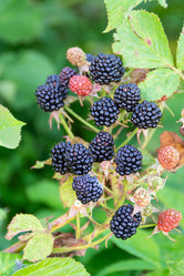 Similar image 21673106