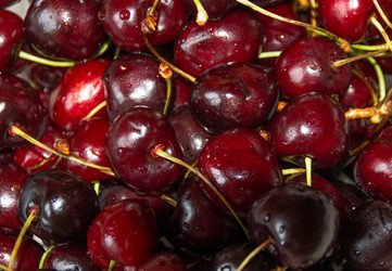 Similar image 21669803