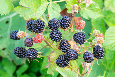 Similar image 21673107