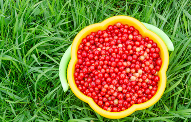 Similar image 21673108