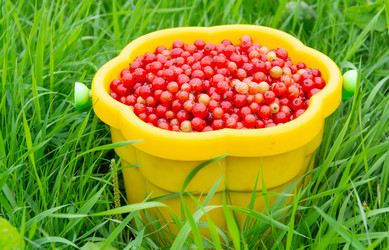 Similar image 21673109