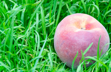 Similar image 21675306