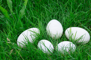 Similar image 21675307