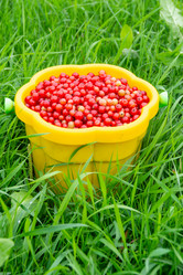 Similar image 21673112