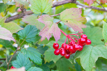 Similar image 21669805