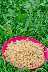 Similar image 21673113