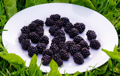 Similar image 21673114