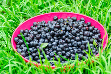 Similar image 21675308