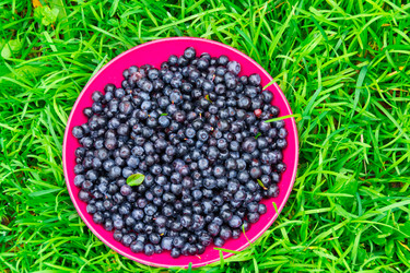 Similar image 21675309