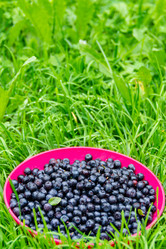 Similar image 21675312