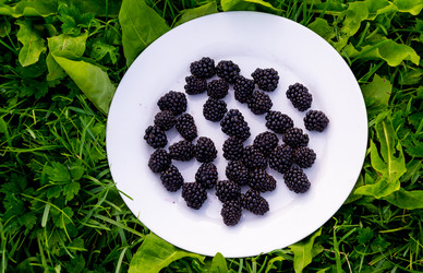 Similar image 21673115