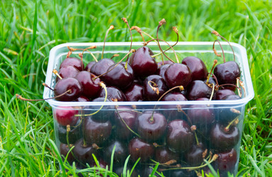 Similar image 21669809