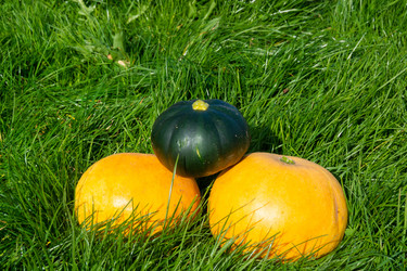 Similar image 21672389