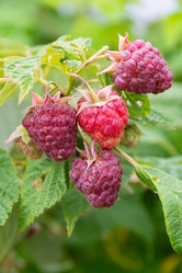 Similar image 21669811