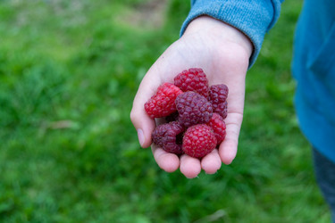 Similar image 21669812