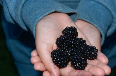 Similar image 21673117