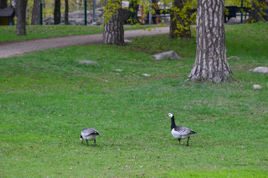 Similar image 21670898