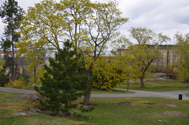 Similar image 21670912