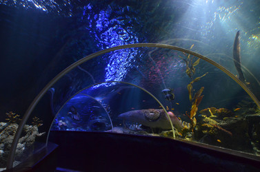 Similar image 21670916