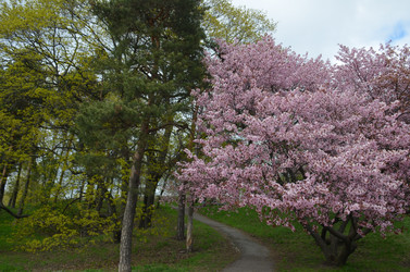 Similar image 21670917