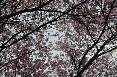 Similar image 21669602