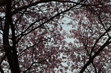 Similar image 21669603