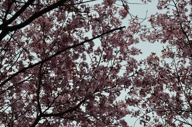 Similar image 21669604