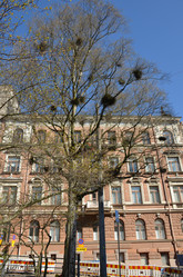 Similar image 21670920