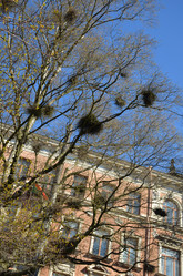 Similar image 21670921