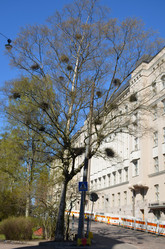 Similar image 21670922