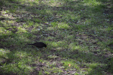 Similar image 21670923