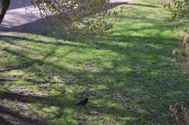 Similar image 21670924