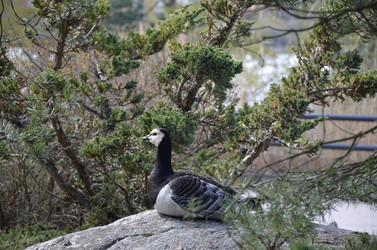 Similar image 21670936