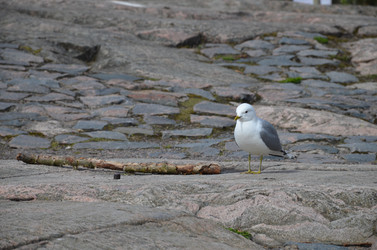 Similar image 21670938