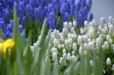 Similar image 21670939