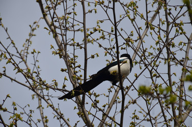 Similar image 21670940