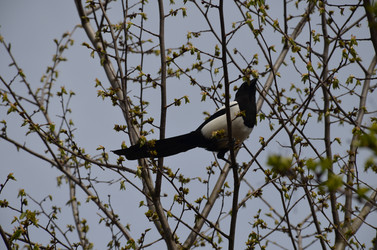 Similar image 21670941