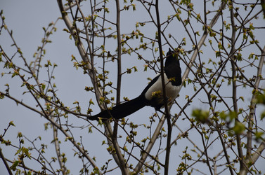 Similar image 21670942