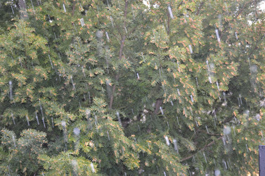 Similar image 21670943