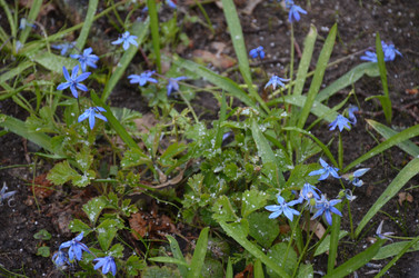 Similar image 21670944