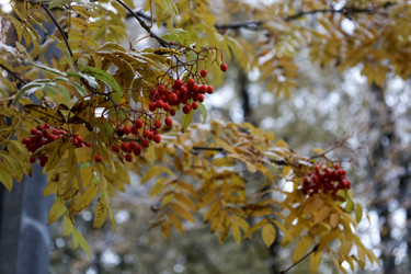 Similar image 21669580