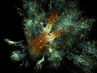 Similar image 21668486