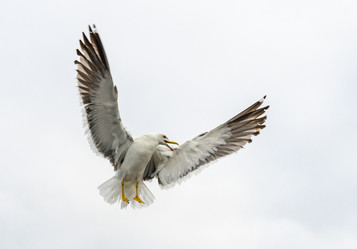 Similar image 21668652