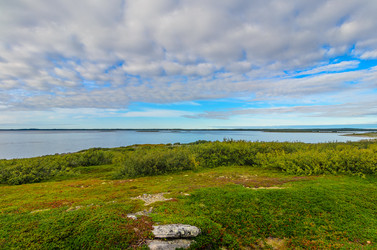 Similar image 21668662