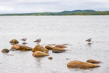 Similar image 21668686