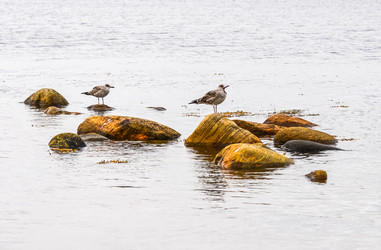 Similar image 21668687