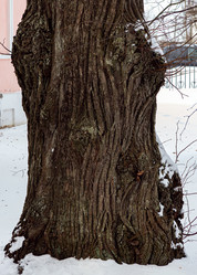 Similar image 21668590