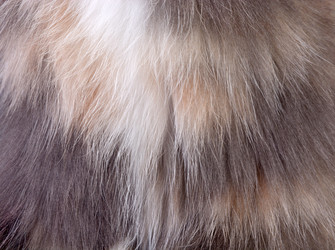 Similar image 21673491