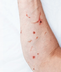 Similar image 21672779