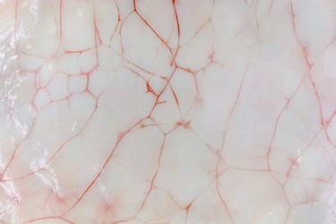 Similar image 21671582